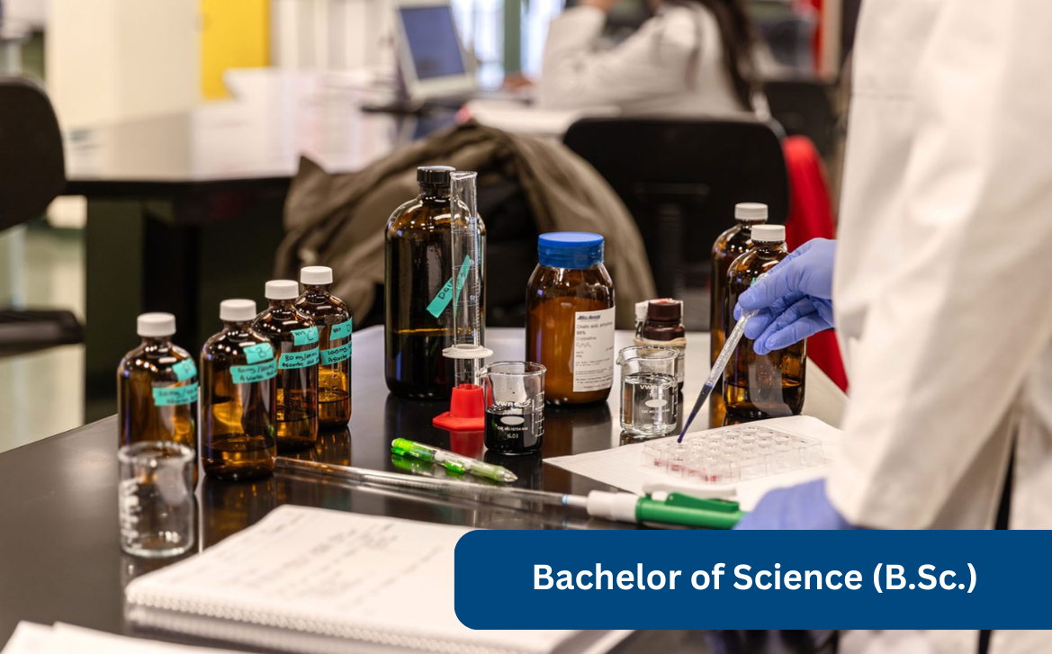 Bachelor of Science (B.Sc)